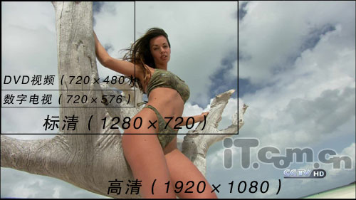智能视频共享系统 智能视频共享系统